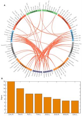 Acute and Chronic Effects of Betel Quid Chewing on Brain Functional Connectivity